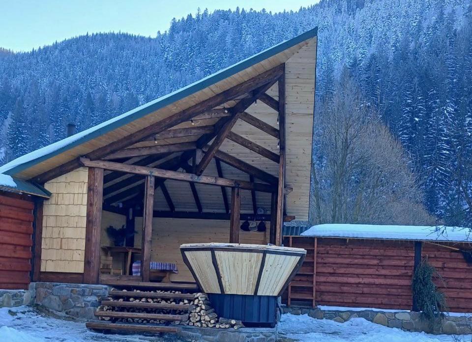 Еко будинок в горах Verkhnyaya Bystra Экстерьер фото